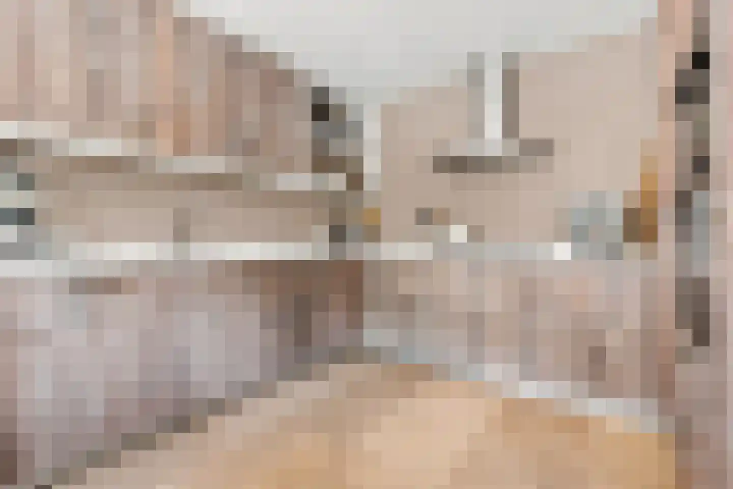 Kerkring 26 Fijnaart thumbnail 23
