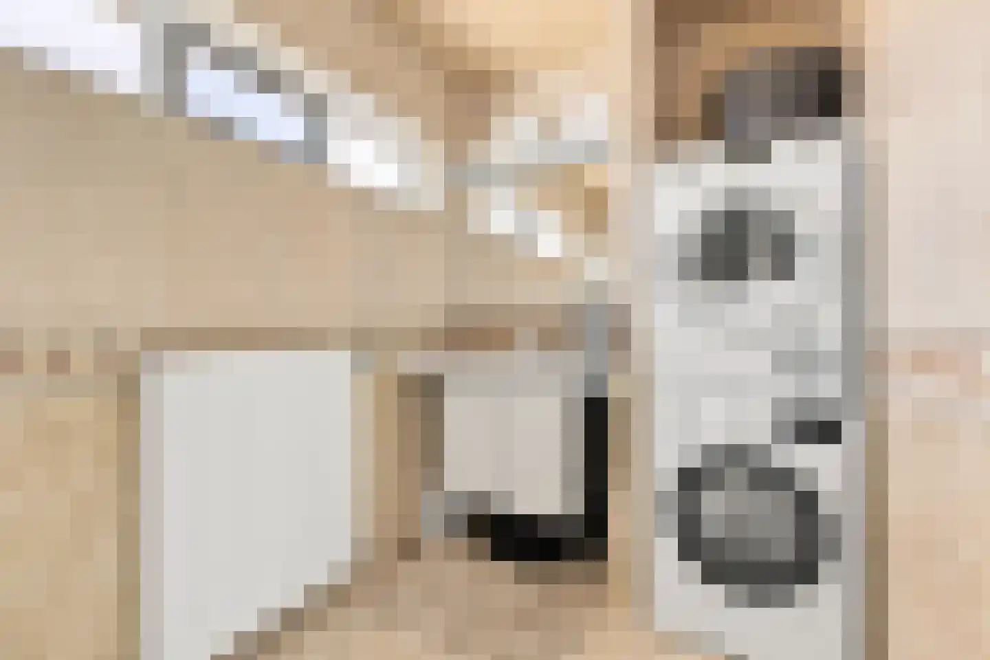 Kerkring 26 Fijnaart thumbnail 28