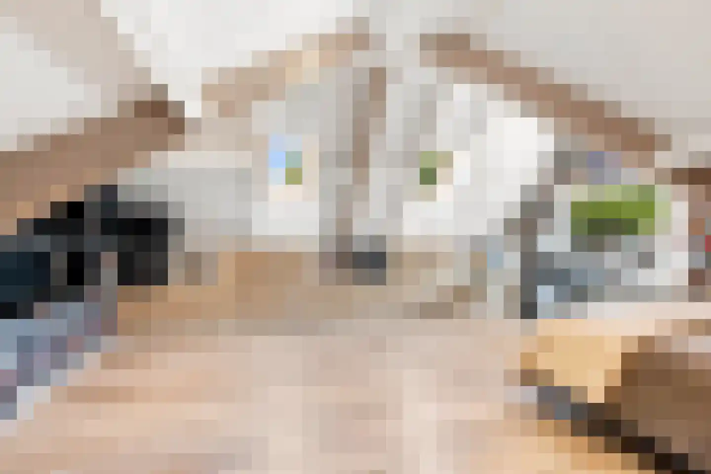 Kerkring 26 Fijnaart thumbnail 33