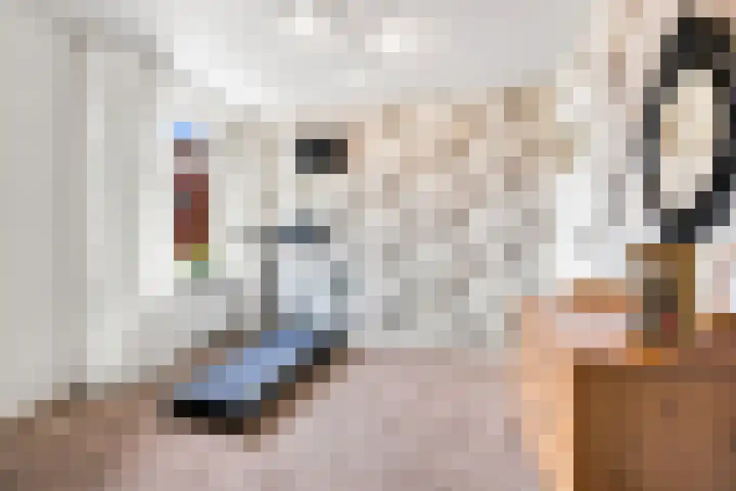 Kerkring 26 Fijnaart thumbnail 39