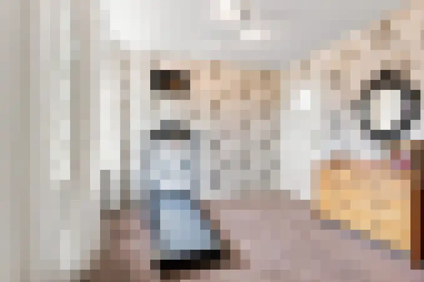 Kerkring 26 Fijnaart thumbnail 40