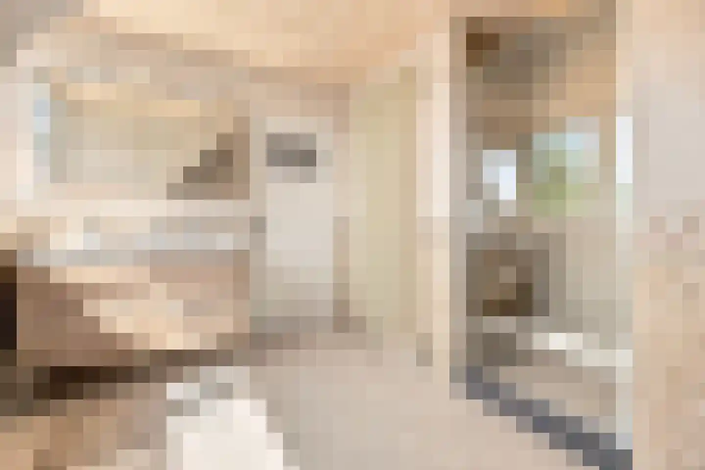 Kerkring 26 Fijnaart thumbnail 52