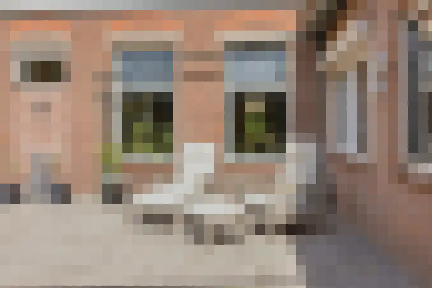 Kerkring 26 Fijnaart thumbnail 54