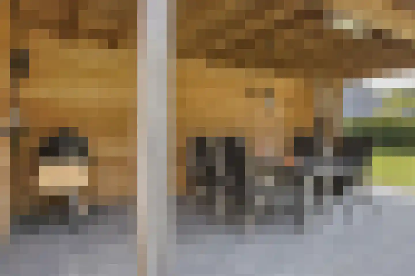 Kerkring 26 Fijnaart thumbnail 57