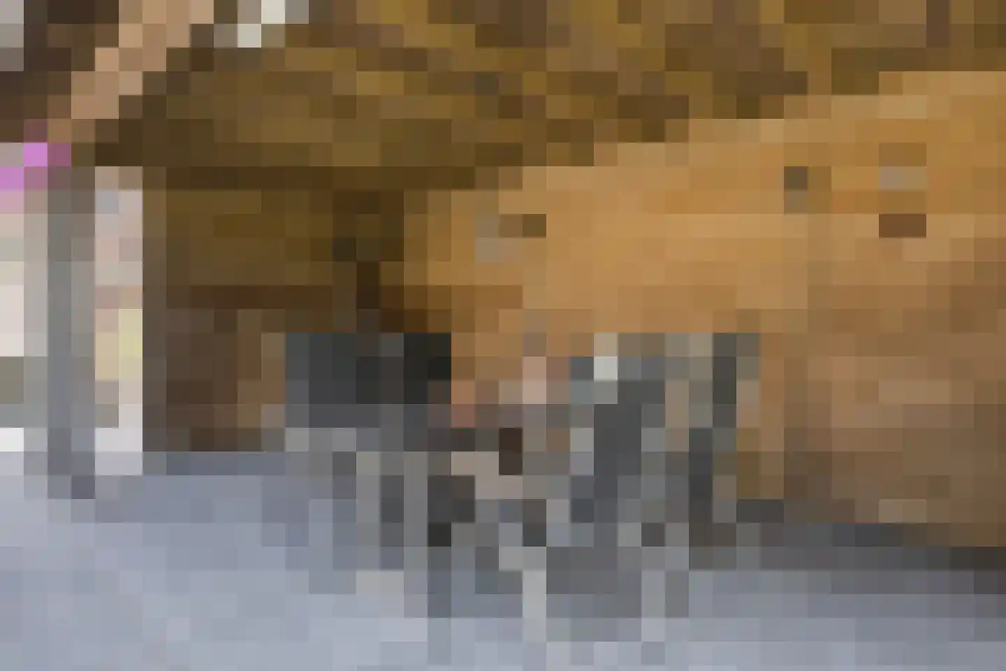 Kerkring 26 Fijnaart thumbnail 58