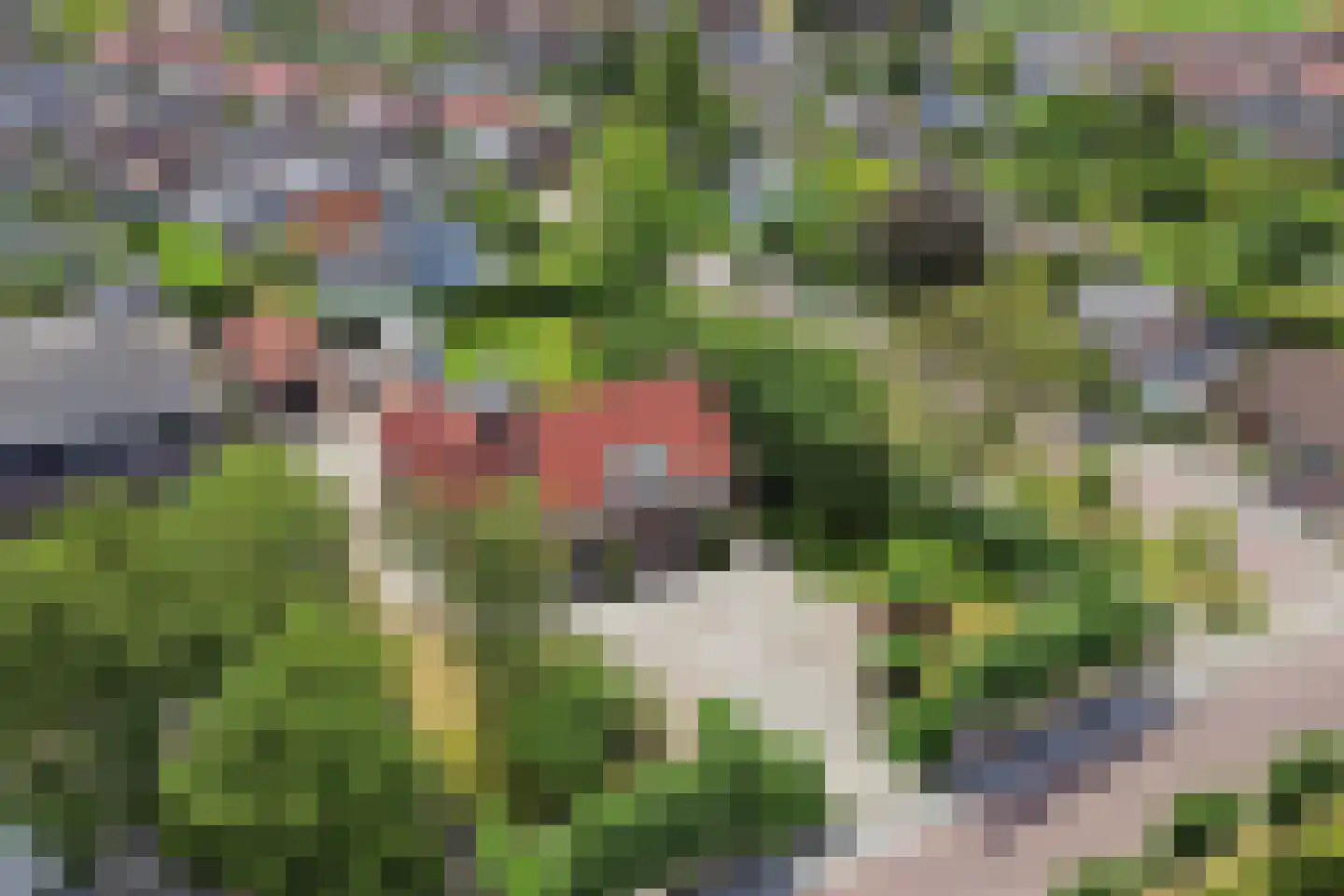 Kerkring 26 Fijnaart thumbnail 6