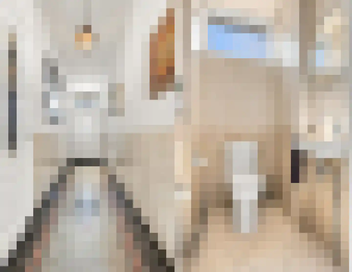 Kerkring 26 Fijnaart thumbnail 8