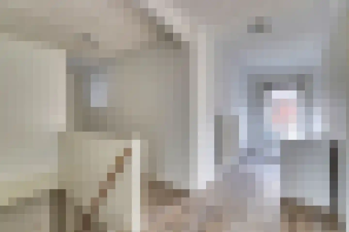 Kerkring 43 Nieuwerkerk thumbnail 15