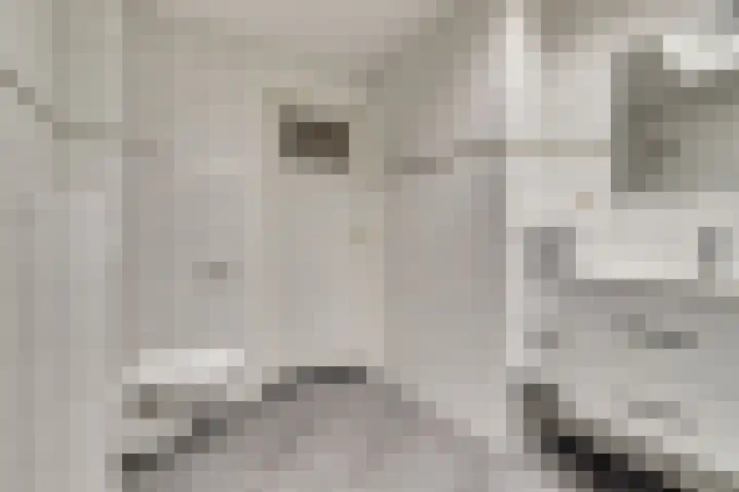 Kerkring 43 Nieuwerkerk thumbnail 28