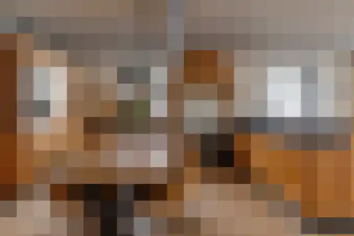 Kerkring 51 Nieuwerkerk thumbnail 20