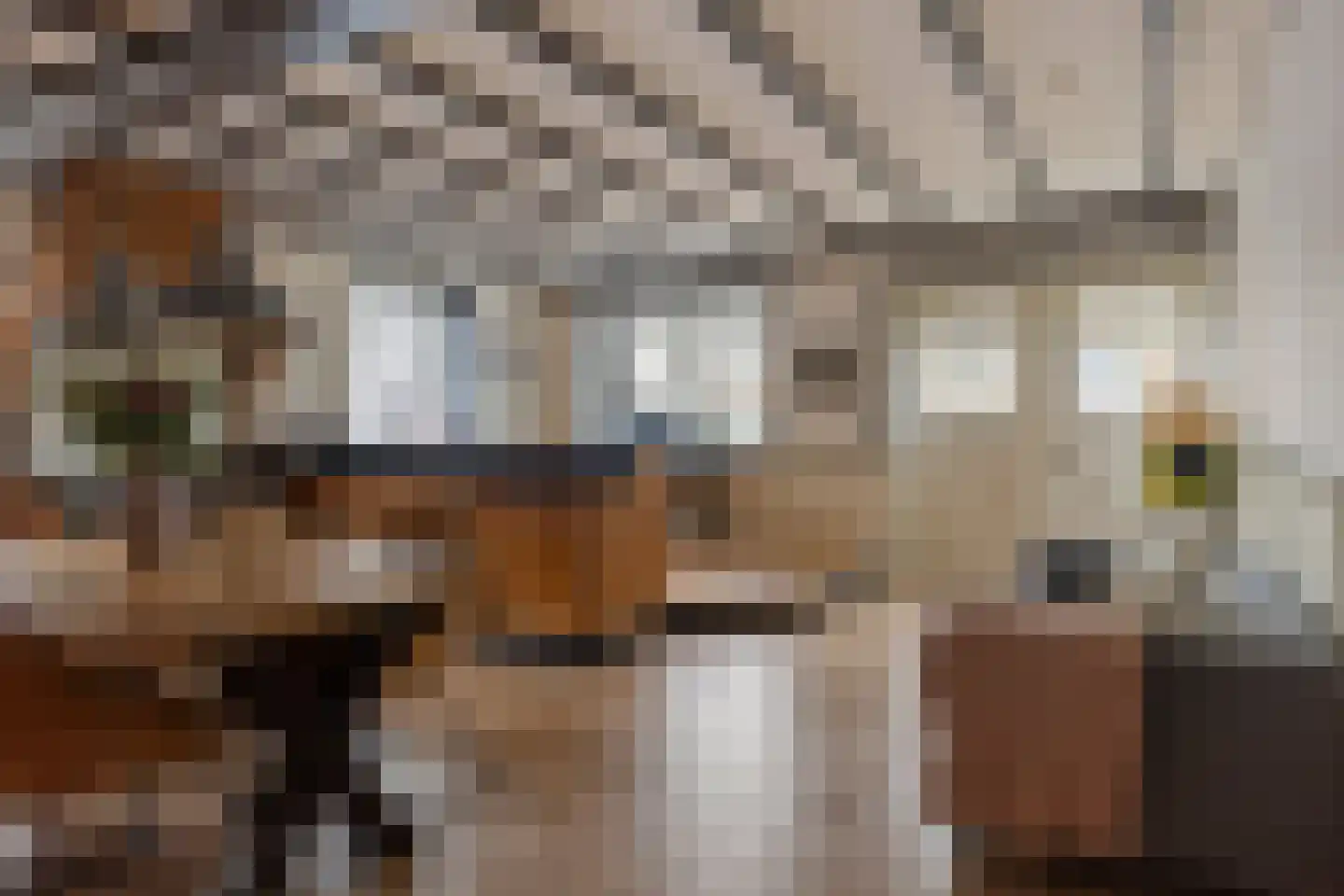 Kerkring 51 Nieuwerkerk thumbnail 22