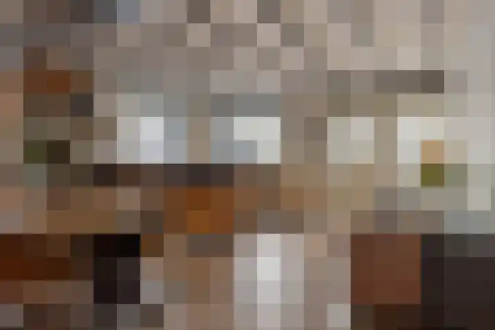 Kerkring 51 Nieuwerkerk thumbnail 22