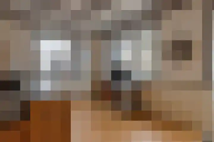 Kerkring 51 Nieuwerkerk thumbnail 23