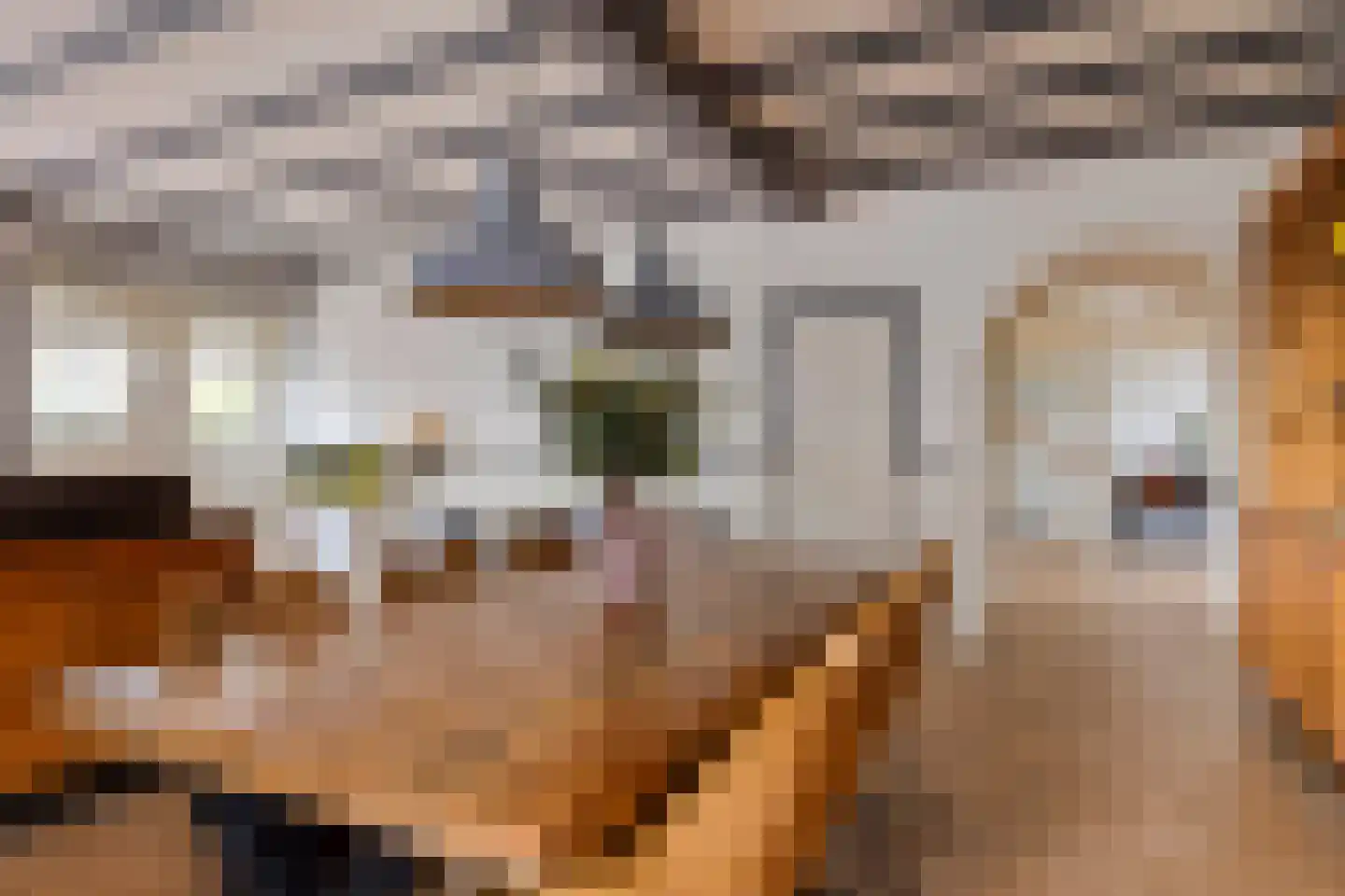 Kerkring 51 Nieuwerkerk thumbnail 26