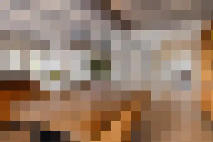Kerkring 51 Nieuwerkerk thumbnail 26