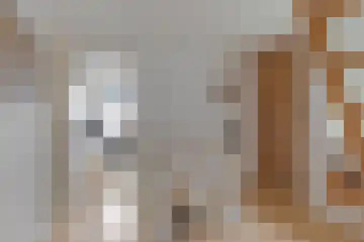 Kerkring 51 Nieuwerkerk thumbnail 33