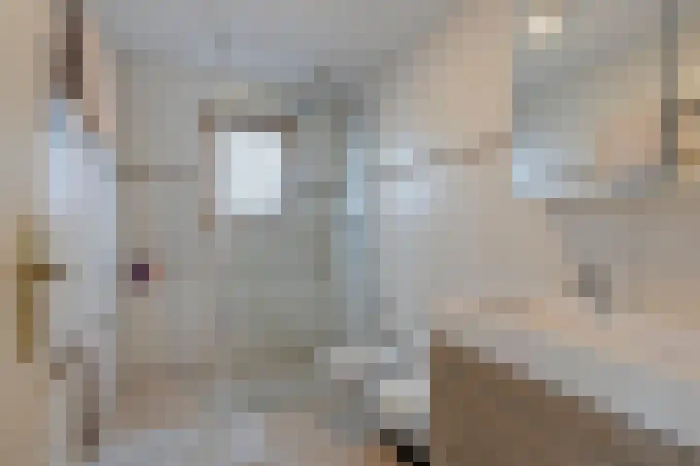 Kerkring 51 Nieuwerkerk thumbnail 36