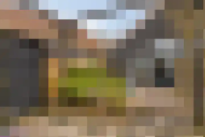 Kerkring 51 Nieuwerkerk thumbnail 48