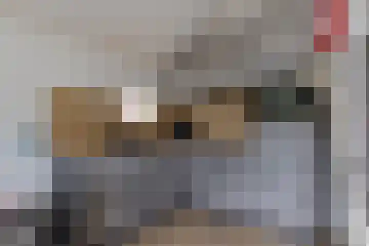 Kerkring 51 Nieuwerkerk thumbnail 49