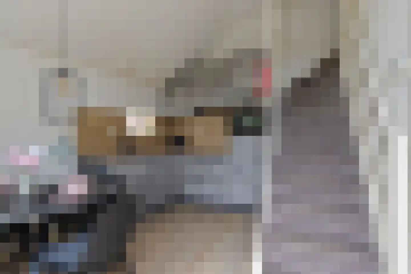 Kerkring 51 Nieuwerkerk thumbnail 5