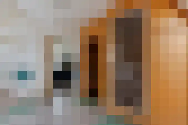 Kerkring 51 Nieuwerkerk thumbnail 59