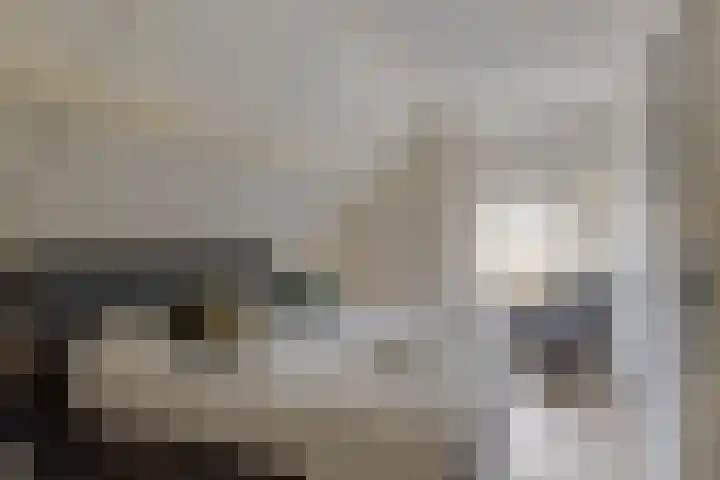 Kerkring 51 Nieuwerkerk thumbnail 62