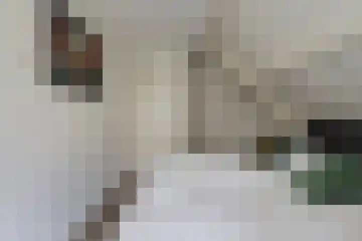 Kerkring 51 Nieuwerkerk thumbnail 64