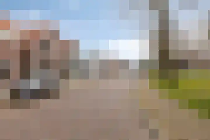 Kerkring 51 Nieuwerkerk thumbnail 65