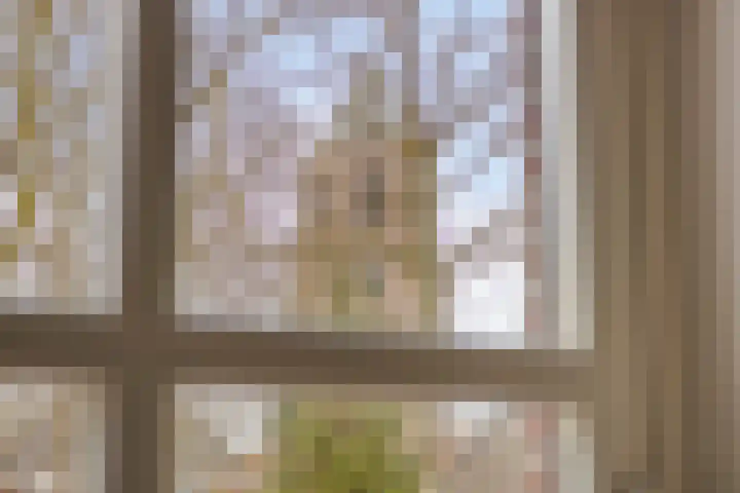 Kerkring 51 Nieuwerkerk thumbnail 66