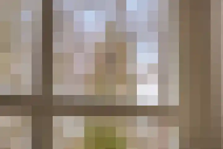 Kerkring 51 Nieuwerkerk thumbnail 66