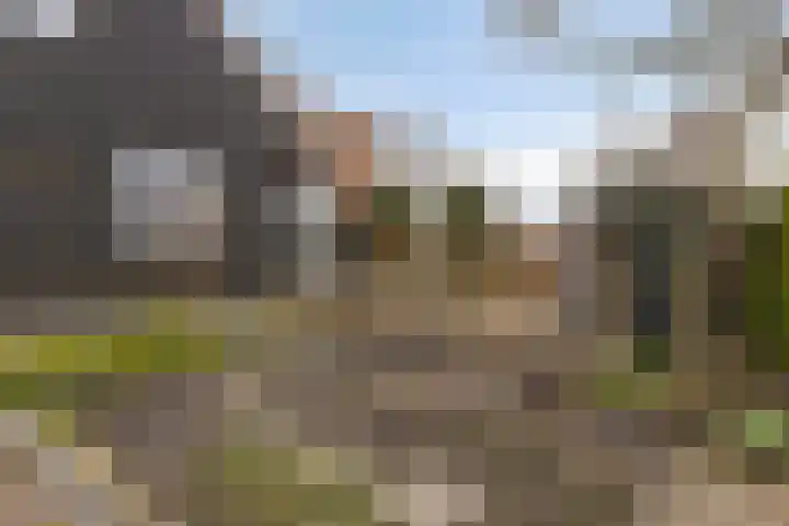 Kerkring 51 Nieuwerkerk thumbnail 70
