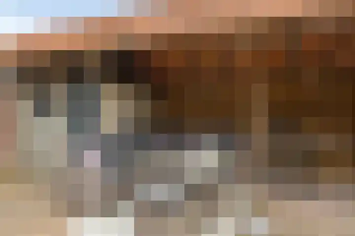 Kerkring 51 Nieuwerkerk thumbnail 73