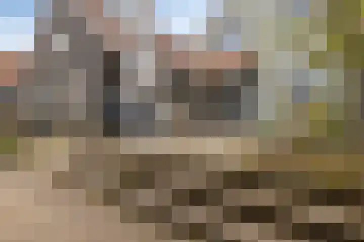 Kerkring 51 Nieuwerkerk thumbnail 74