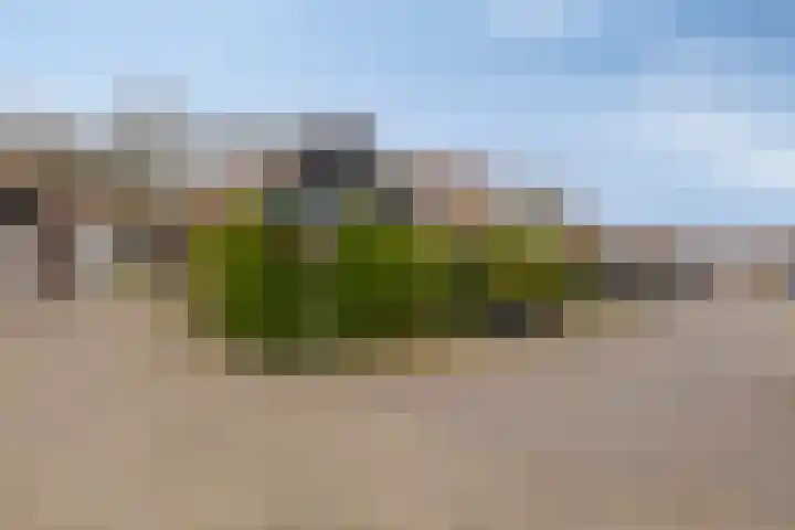 Kerkring 51 Nieuwerkerk thumbnail 78