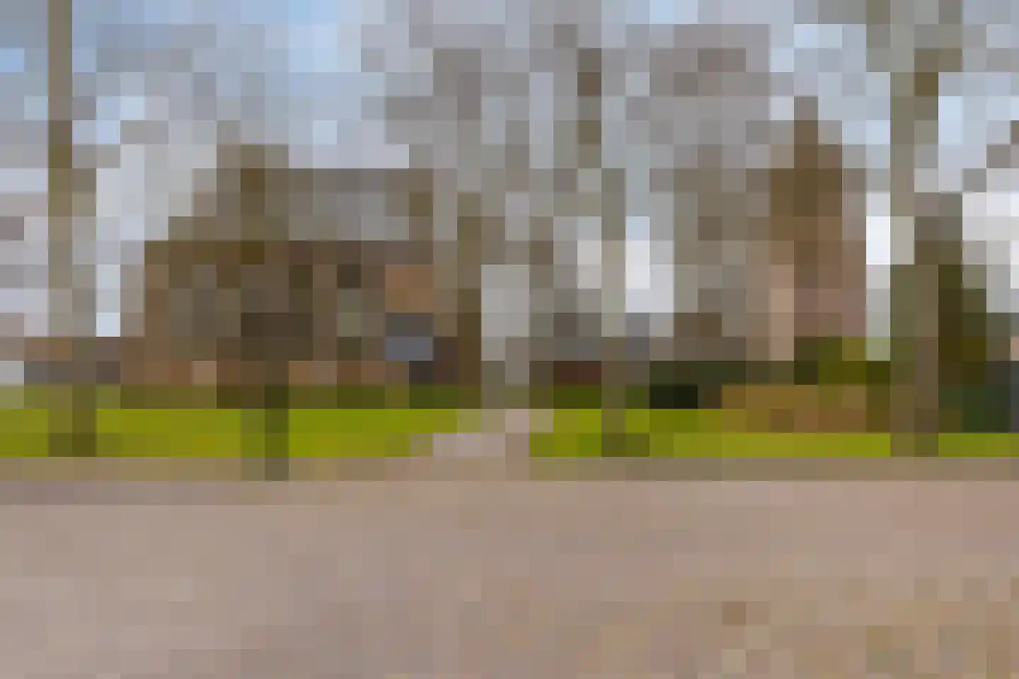 Kerkring 51 Nieuwerkerk thumbnail 80