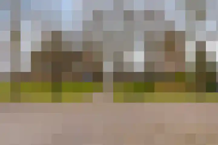 Kerkring 51 Nieuwerkerk thumbnail 80
