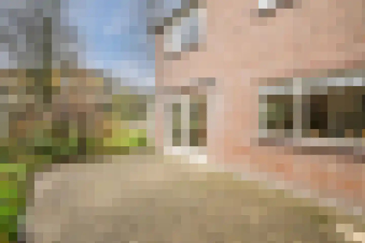 Kerkring 6 Middenmeer thumbnail 23
