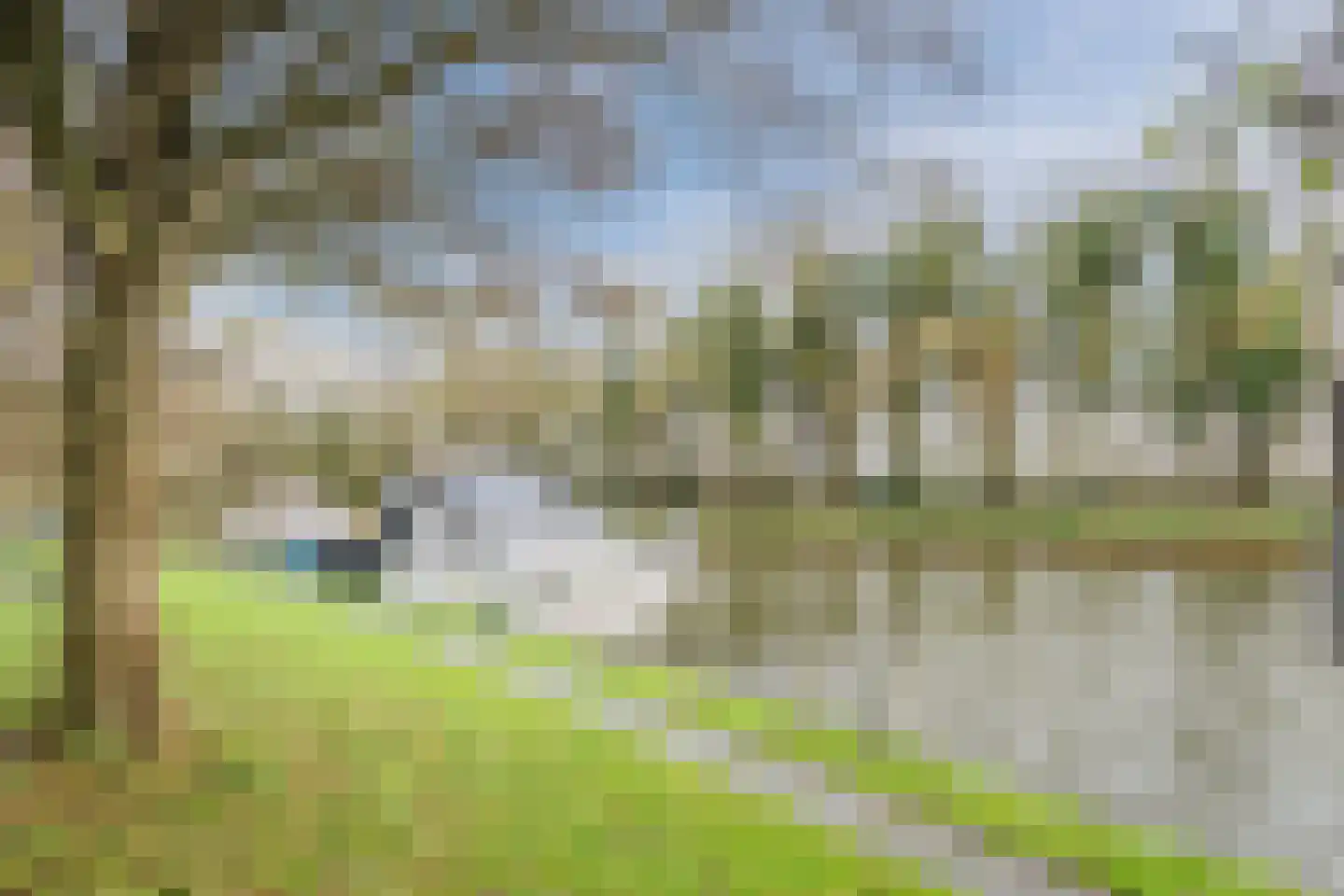 Kerkring 6 Middenmeer thumbnail 29