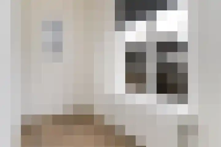 Kerkring 7 Fijnaart thumbnail 22