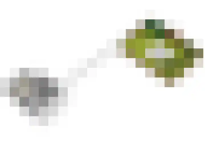 Kerkring 7 Fijnaart thumbnail 42