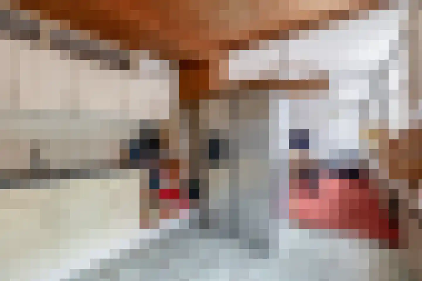Kerkring 8 a Nieuwe-Tonge thumbnail 12