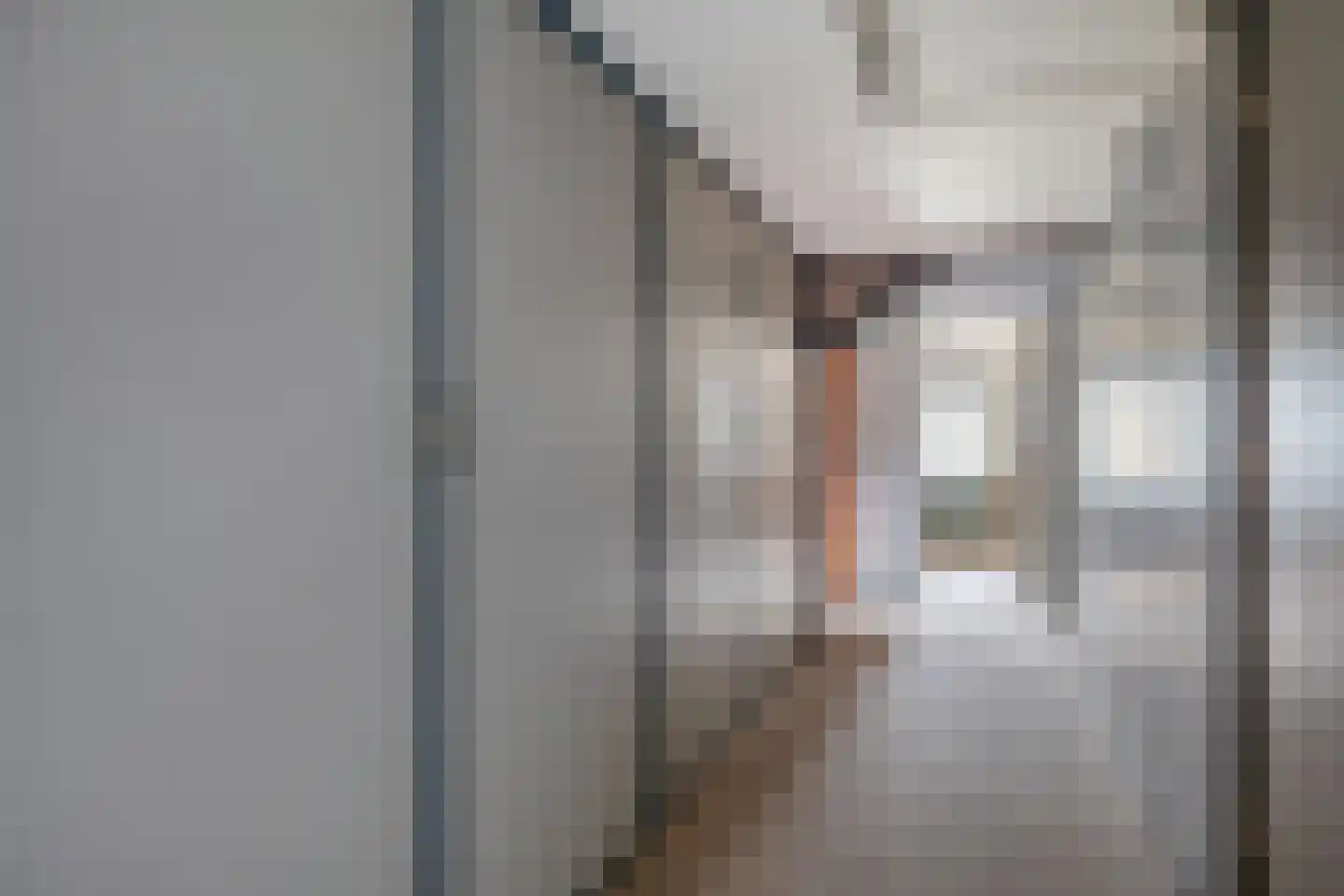 Kerkring 8 a Nieuwe-Tonge thumbnail 18