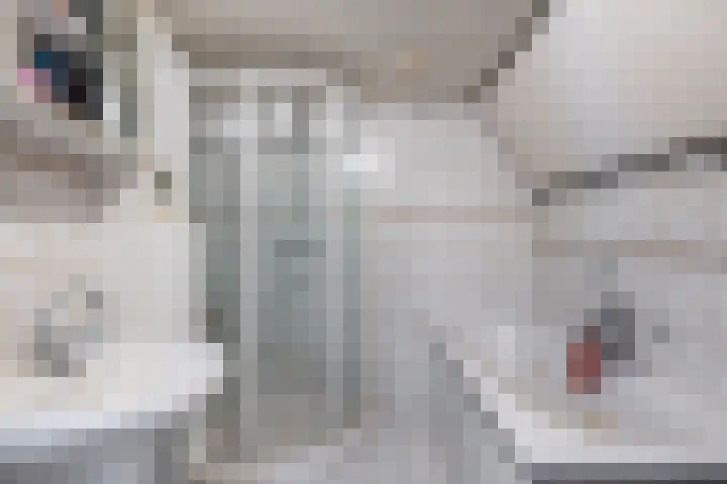 Kerkring 8 a Nieuwe-Tonge thumbnail 23