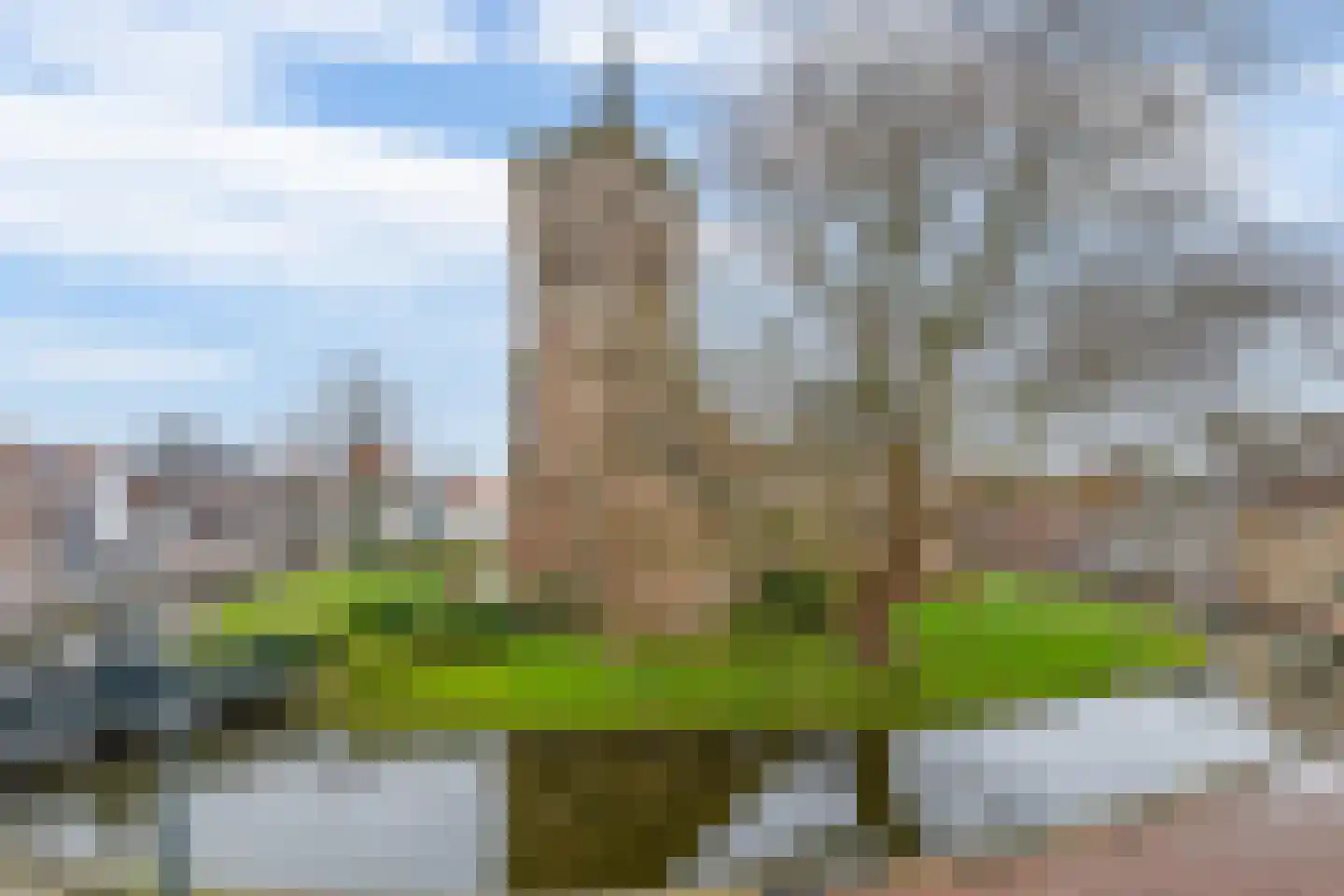 Kerkring 8 a Nieuwe-Tonge thumbnail 27