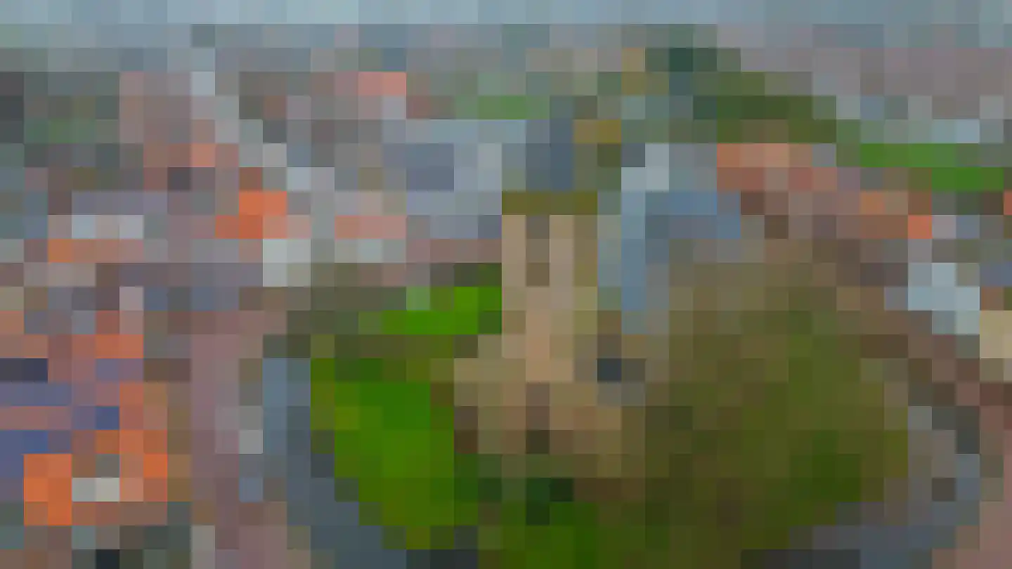 Kerkring 8 a Nieuwe-Tonge thumbnail 30