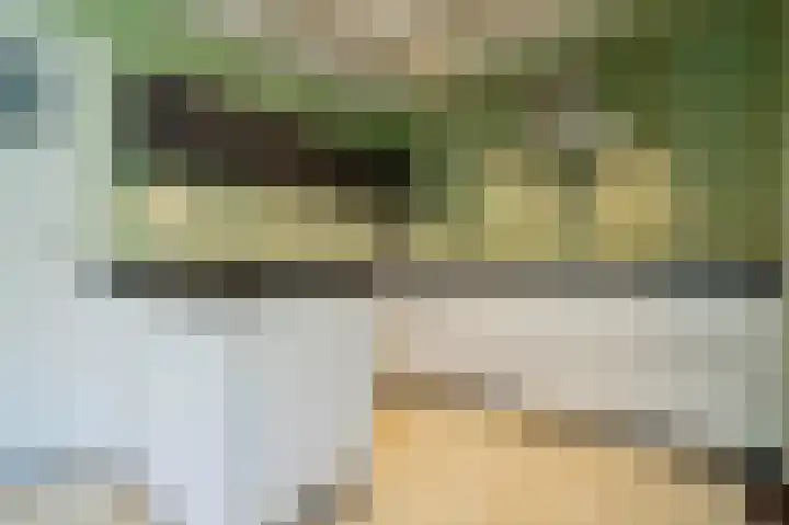Kerksedriessen 1 Bakel thumbnail 10
