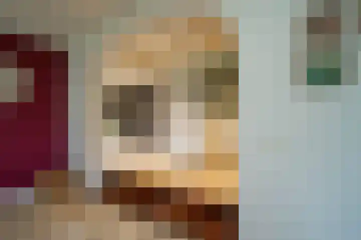 Kerksedriessen 1 Bakel thumbnail 11