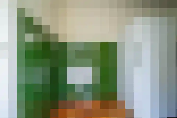 Kerksedriessen 1 Bakel thumbnail 13