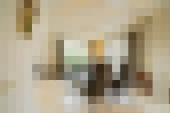 Kerksedriessen 1 Bakel thumbnail 23