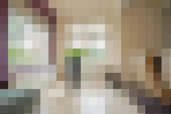 Kerksedriessen 1 Bakel thumbnail 25